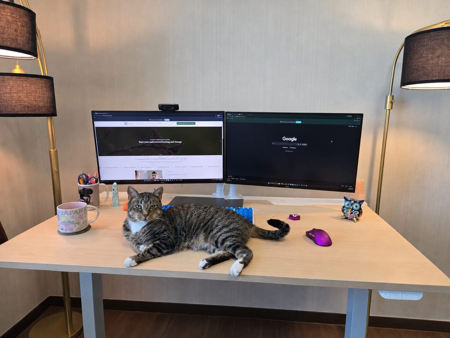Harvey, a grey tabby cat, lying on a desk between two monitors and looking at the camera