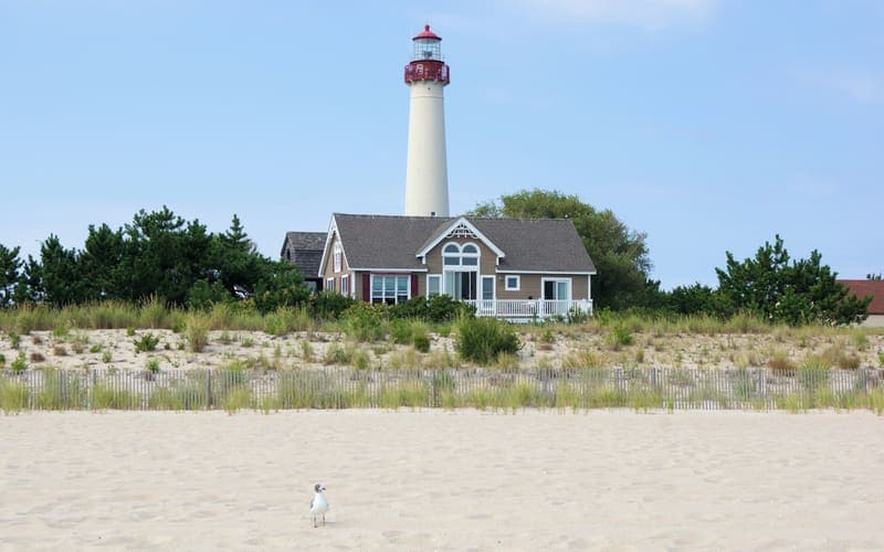 The Cape May lighthouse behind beach grass and dunes on the New Jersey shore
